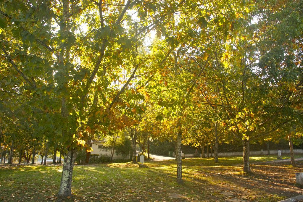 Gois Camping Екстериор снимка
